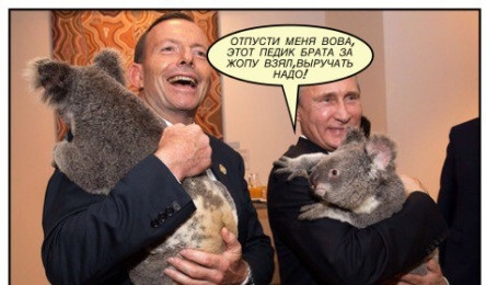 Тем временем на G20 коала