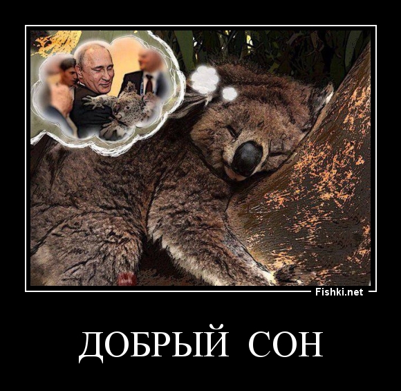 ДОБРЫЙ  СОН