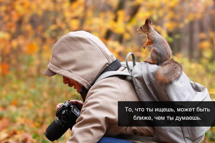 Открытки, в которых можно узнать себя