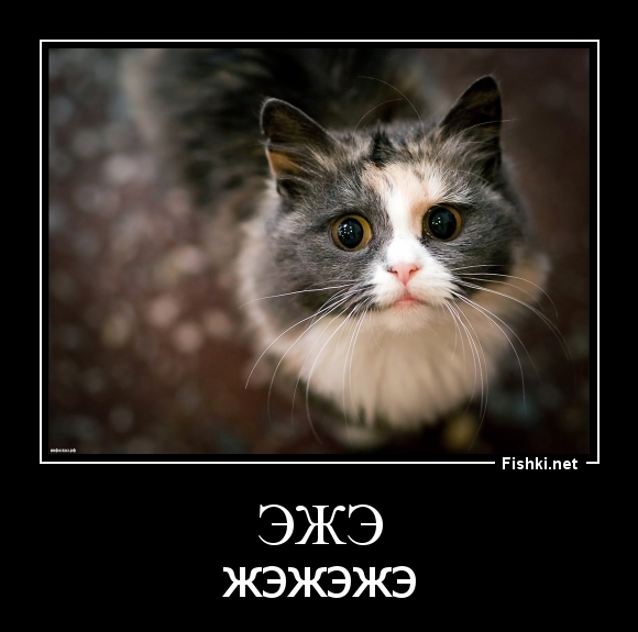 эжэ