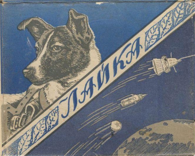 Полёт первой собаки в космос: как всё было