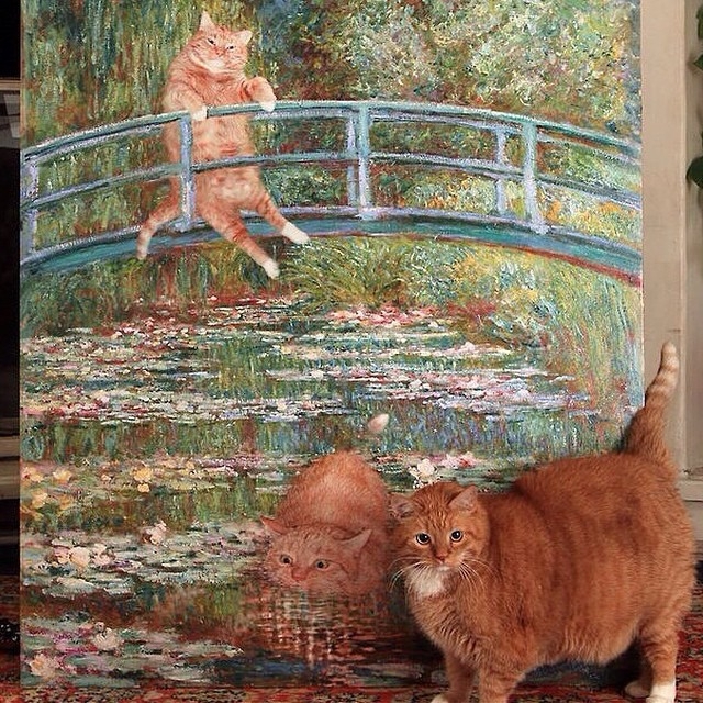 Рыжий кот и искусство