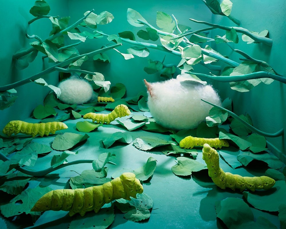 Невероятные фото, которые Джи Янг Ли создаёт без фотошопа