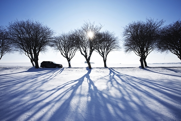  25 чудесных затей, которые можно делать зимой