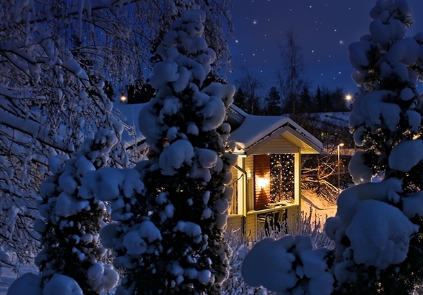  25 чудесных затей, которые можно делать зимой