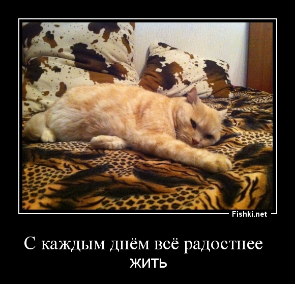 С каждым днём всё радостнее  