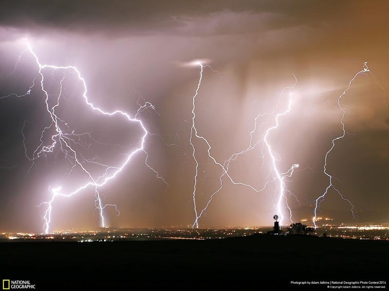 Удивительные фотографии, сделанные для конкурса National Geographic 