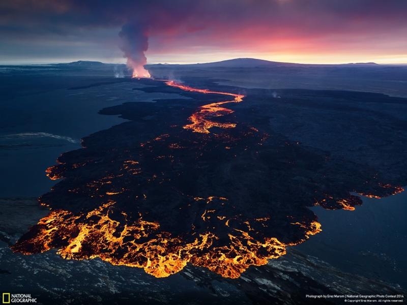 Удивительные фотографии, сделанные для конкурса National Geographic 