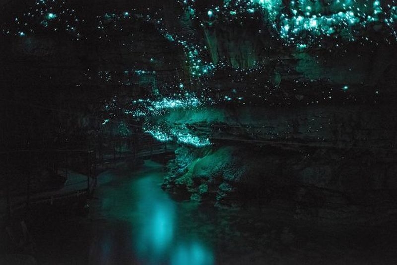 Пещеры светлячков Вайтомо, Новая Зеландия.