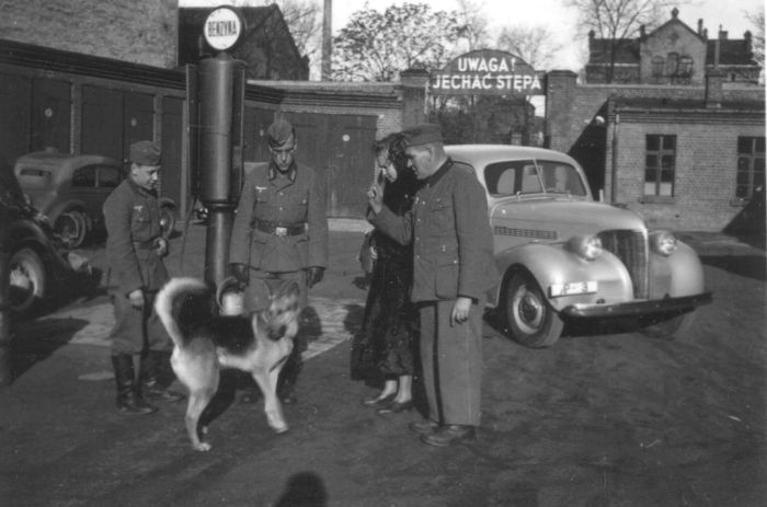 Вторая Мировая война глазами немецких военных фотографов и солдат