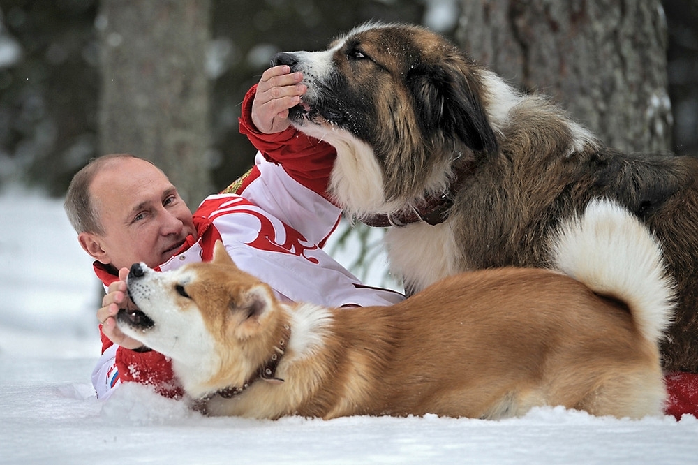 Владимир Путин и его собаки