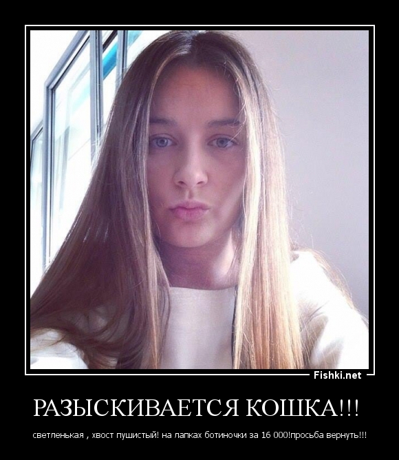Разыскивается кошка!!! 