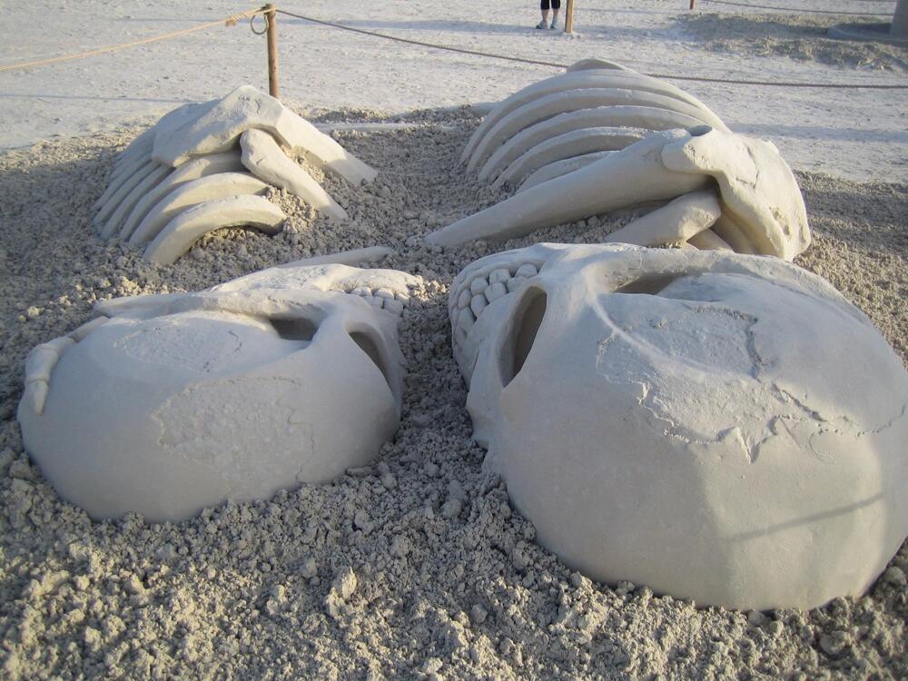 Победители в конкурсе скульптур из песка