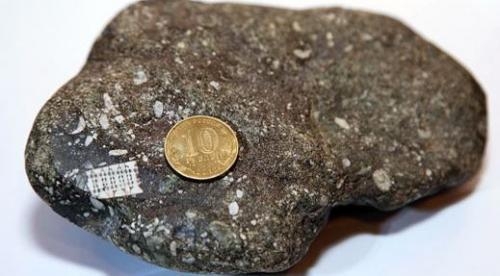 В России найден камень с микрочипом, которому 250 млн лет