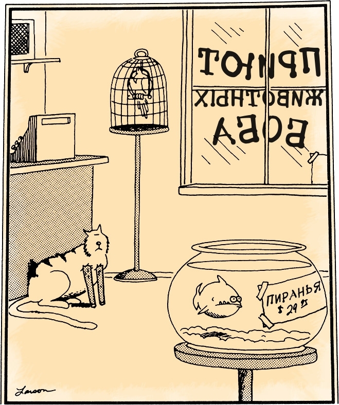 Карикатуры Гэри Ларсона — лучшего из смешных