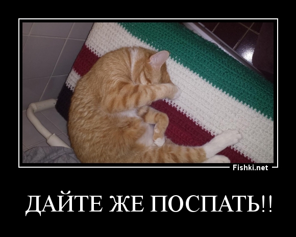 Дайте же поспать!!