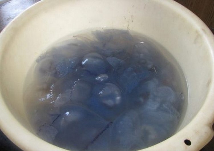 Как приготовить медузу в домашних условиях