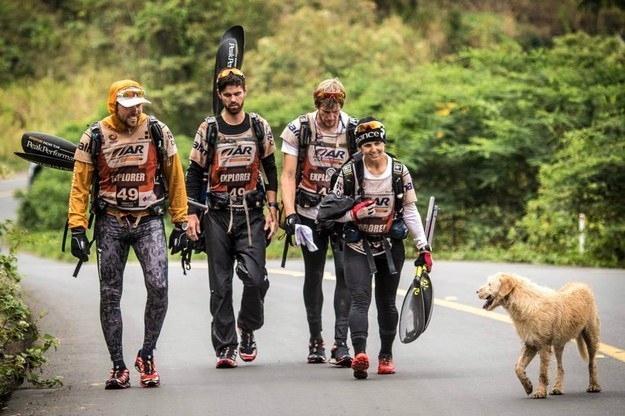 Бездомная собака прибилась к участникам Чемпионата мира 