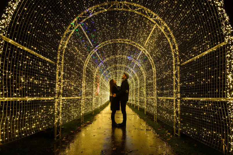 Световая установка «Рождество в Кью», Лондон, Великобритания
