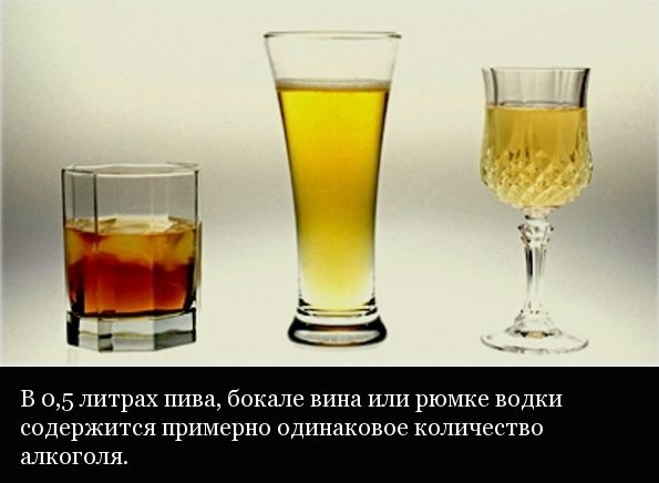 Интересные факты об алкоголе