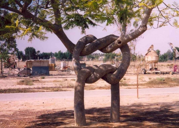 Арбоскульптуры или Цирк деревьев Акселя Эрландсона