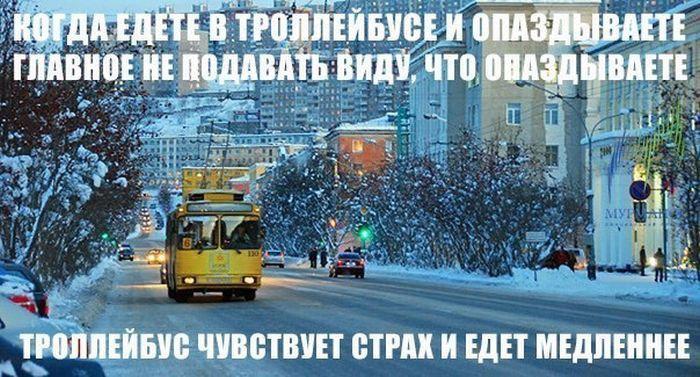 Из солянки от 27.11.2014