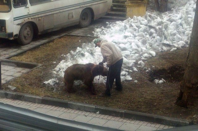 А что вы хотите, Россия