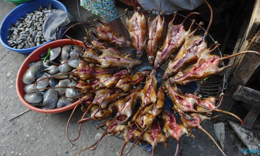 Вьетнамски деликатес  