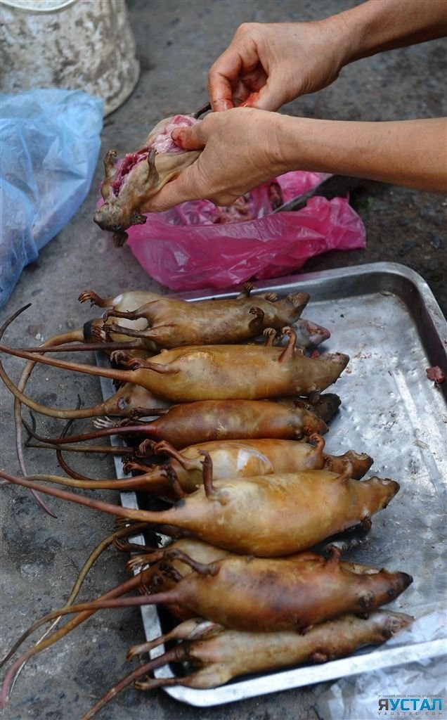 Вьетнамски деликатес  