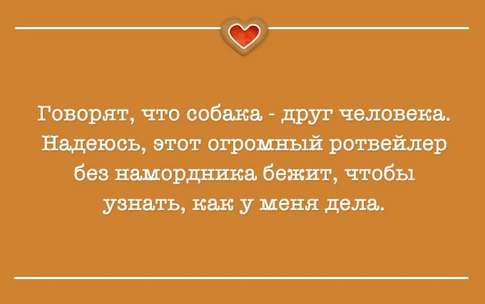 Когда у внутреннего голоса – отличное чувство юмора