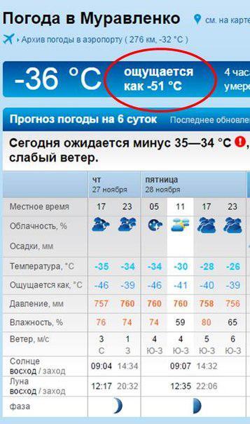 Вообще-то в России зима начинается только завтра, а у нас, бл