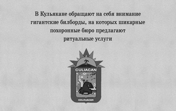 Каникулы в Мексике: Репортаж с родины мексиканских наркобаронов