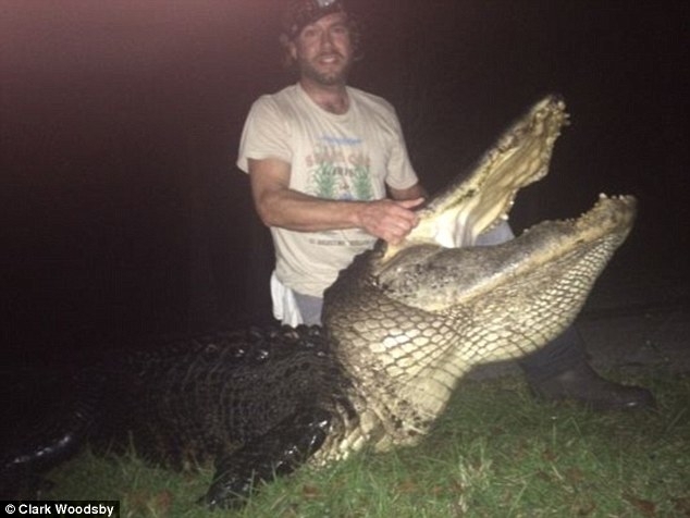 Огромного 320-килограммоваго аллигатора убил охотник