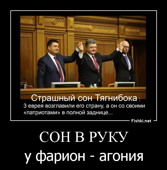 Сон в руку