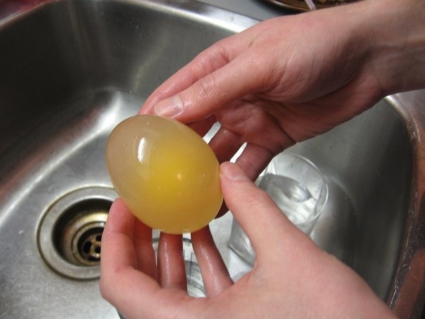 Что будет с яйцом, если его поместить в уксус?
