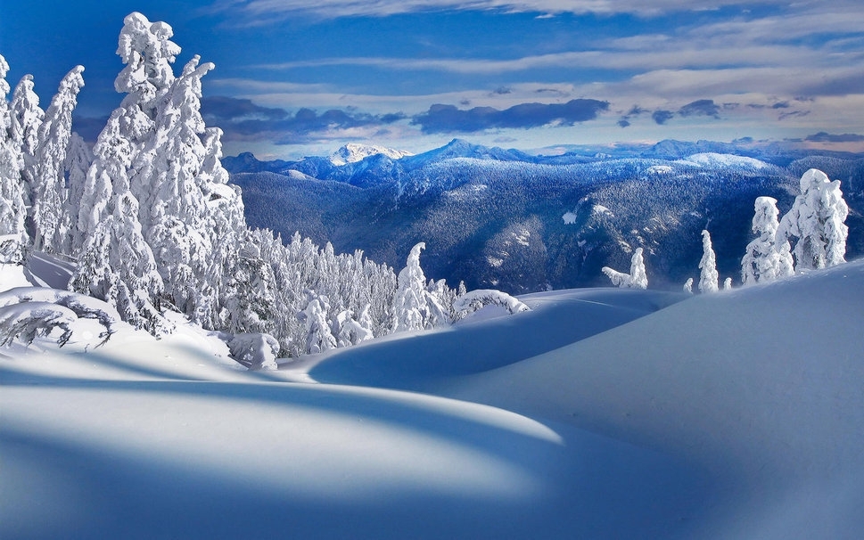 Потрясающие  фотографии зимней природы