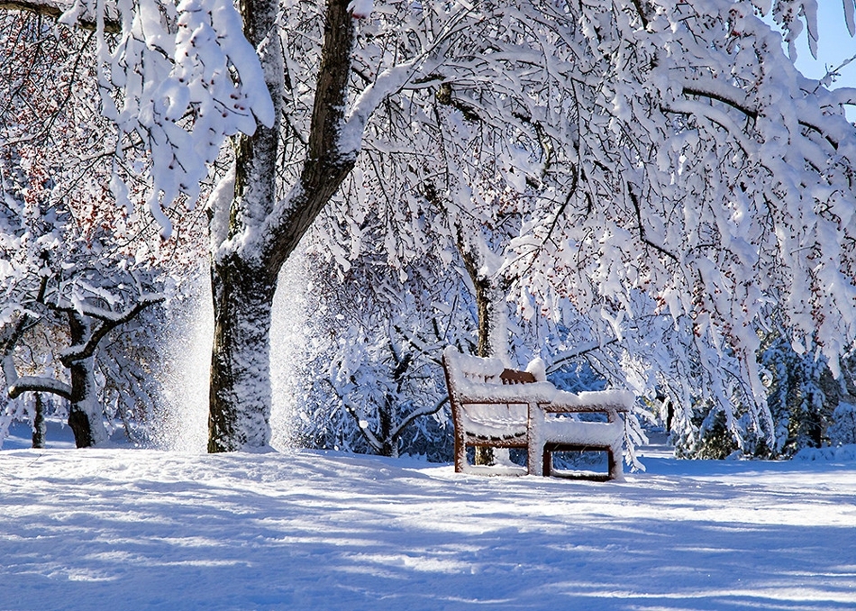 Потрясающие  фотографии зимней природы