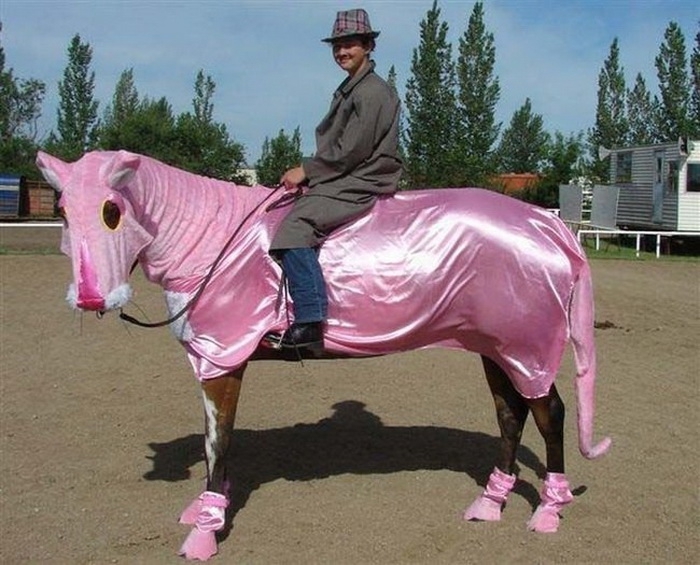 Самые странные и смешные наряды для лошади