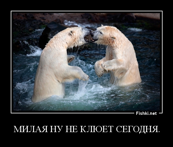 милая ну не клюет сегодня.