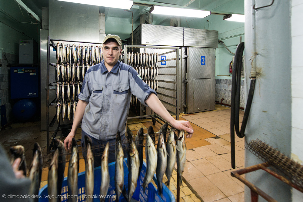 Экскурсия по рыбному заводу в Магадане