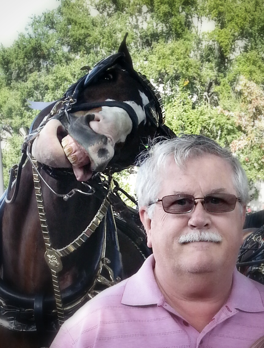 Селфи с конем
