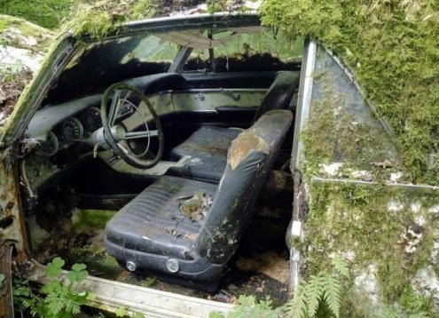 Таинственные снимки заброшенных американских автомобилей в лесу