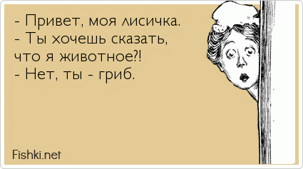 - Привет, моя лисичка. - Ты хочешь сказать,  что я животное?! - Нет, ты - гриб.