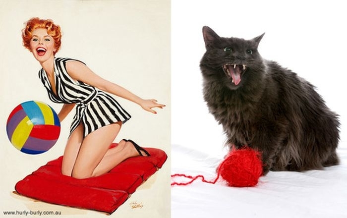 Симпатичные девушки и коты в стиле Пин-Ап