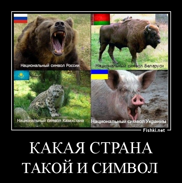 КАКАЯ СТРАНА