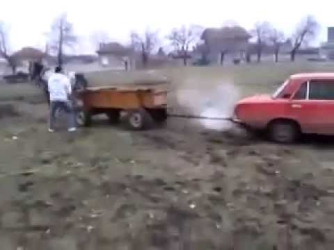 Лошадь против автомобиля / Horse vs Car  