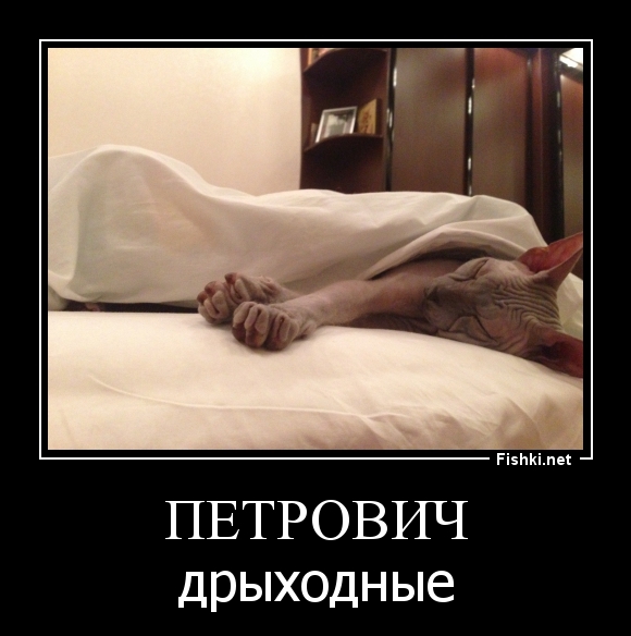 Петрович