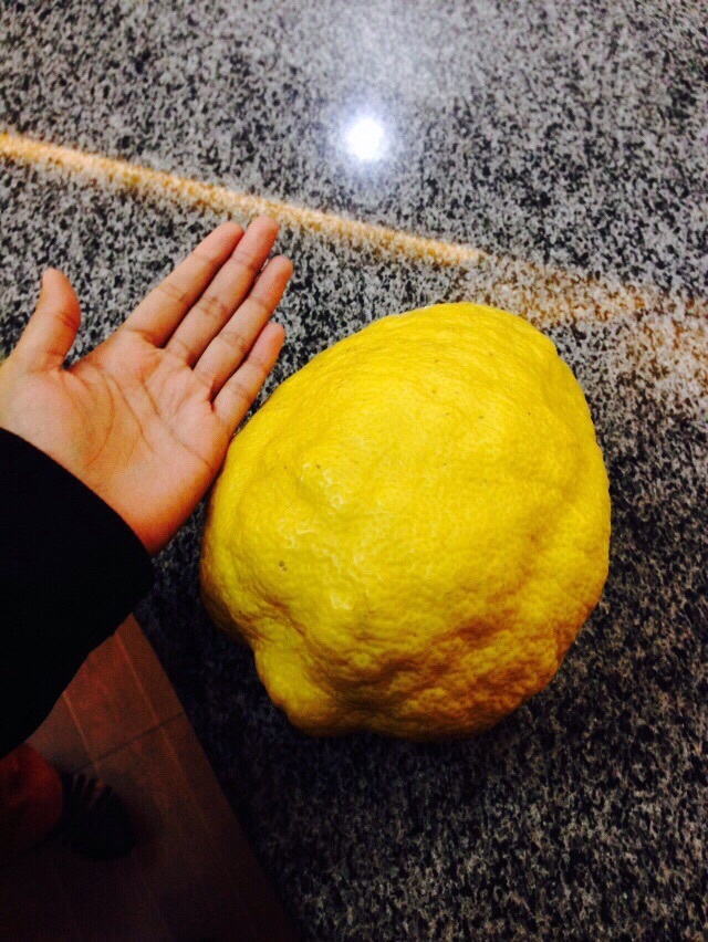 Огромный лимон