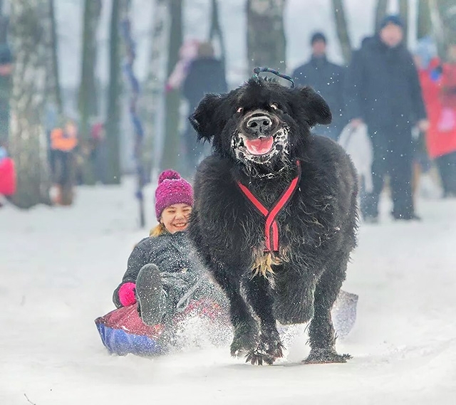 Зимних радостей пост 