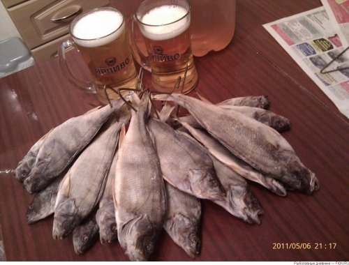 Пиво с рыбой